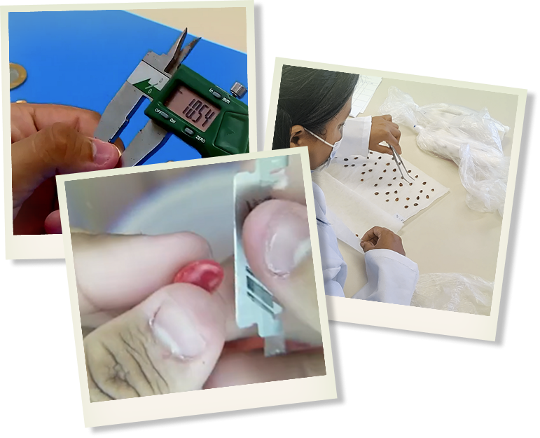 Gargalos operacionais