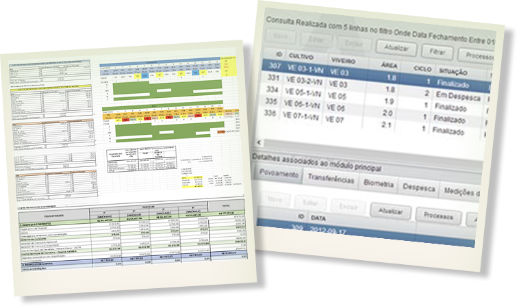 Sistemas e tabelas desconexas